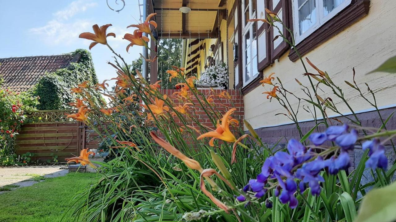 Orzechowy Dworek Nowy Dwór Gdański Exteriér fotografie