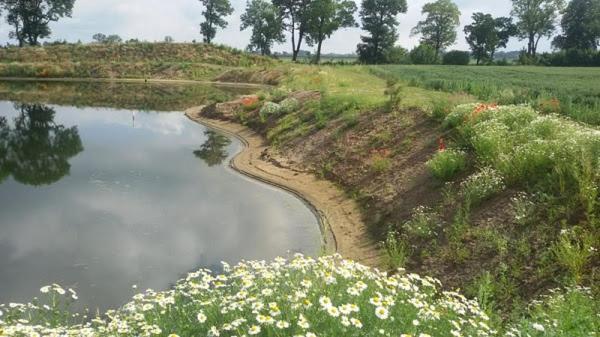 Orzechowy Dworek Nowy Dwór Gdański Exteriér fotografie