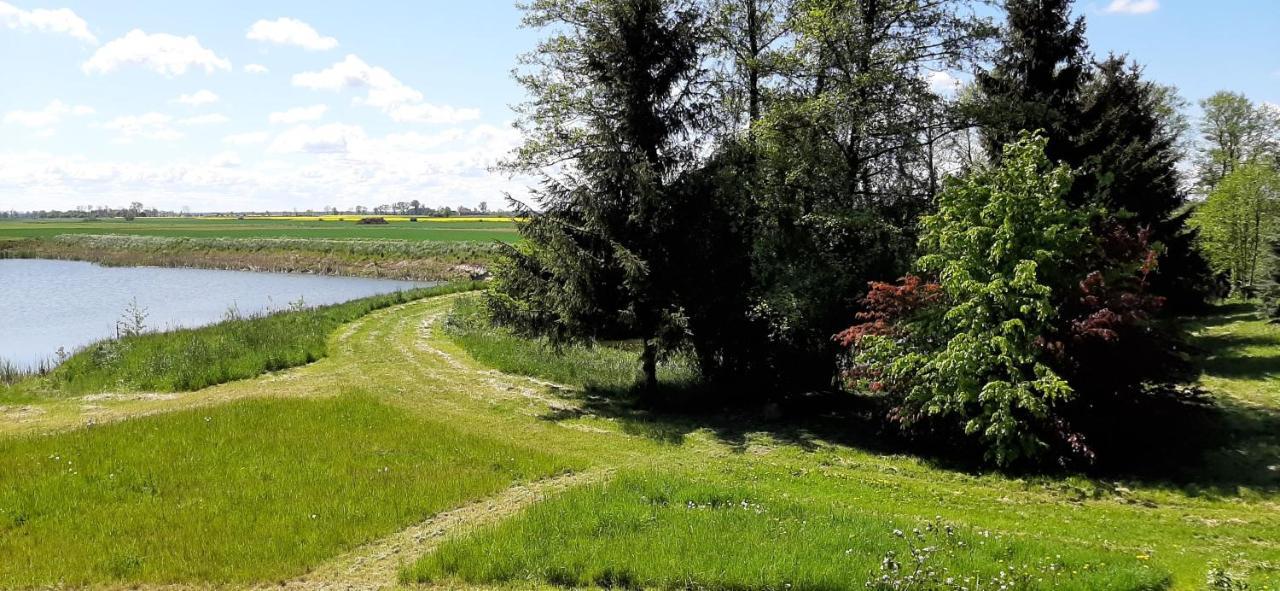 Orzechowy Dworek Nowy Dwór Gdański Exteriér fotografie