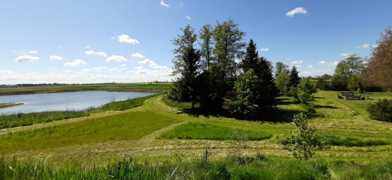 Orzechowy Dworek Nowy Dwór Gdański Exteriér fotografie