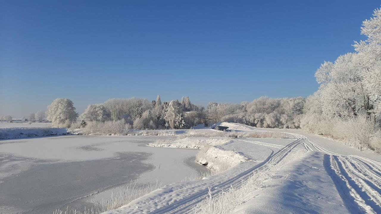 Orzechowy Dworek Nowy Dwór Gdański Exteriér fotografie