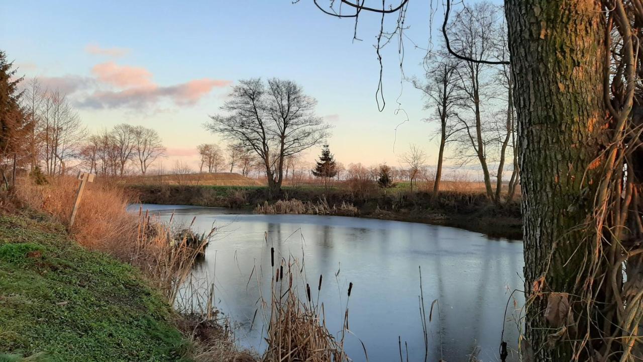 Orzechowy Dworek Nowy Dwór Gdański Exteriér fotografie