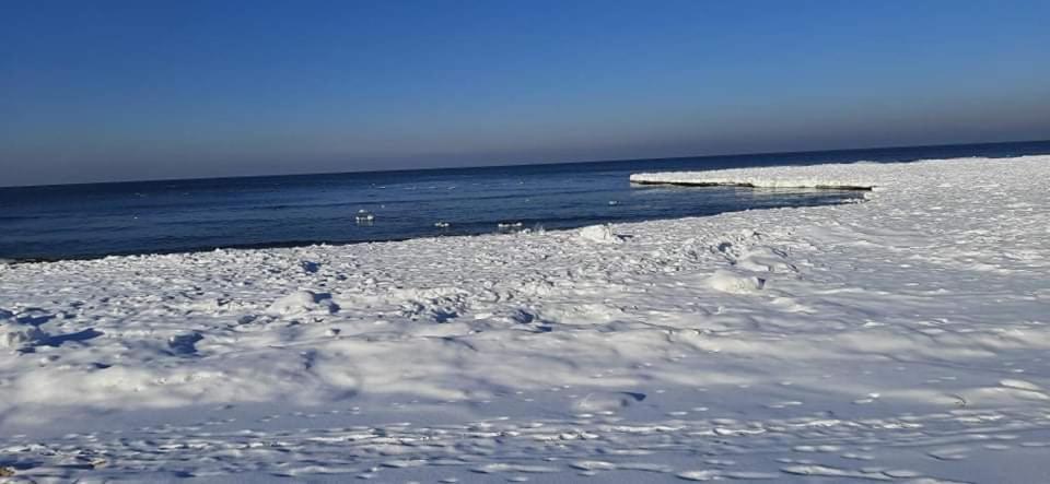 Orzechowy Dworek Nowy Dwór Gdański Exteriér fotografie